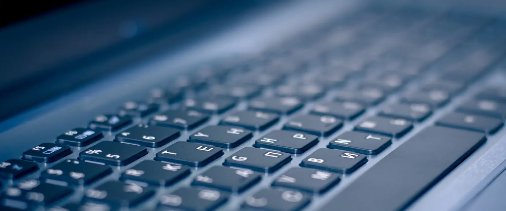 Elevate Your Business